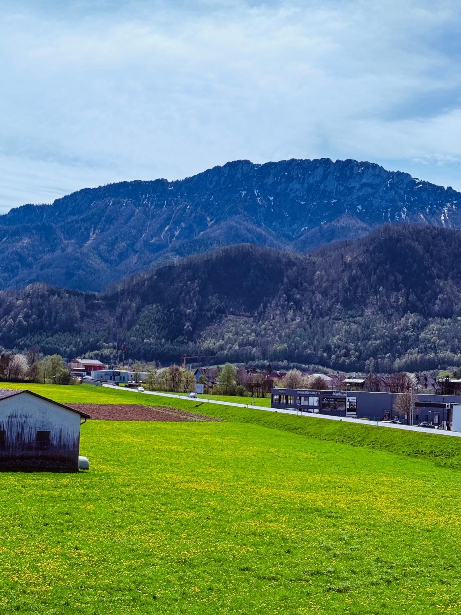 Zentrale Wohnung Mit Alpenblick Micheldorf in Oberösterreich Exteriér fotografie
